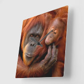 Kutest Baby Animals | Orangutan Mam & Baby Vierkante Klok (Hoek)