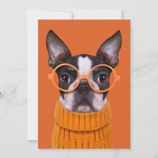 Kutest Baby Animals | Oranje Boston Terrier Bedankkaart (Voorkant)