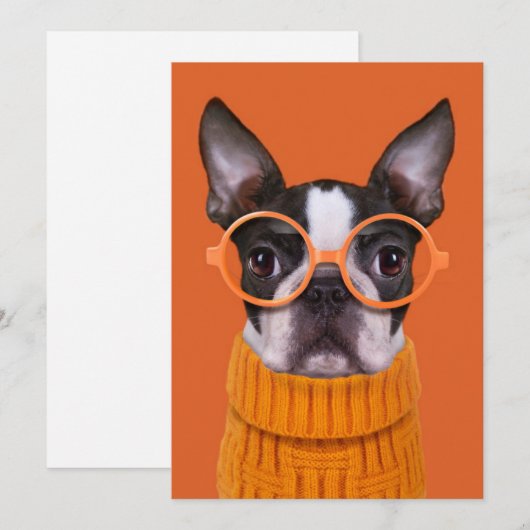 Kutest Baby Animals | Oranje Boston Terrier Bedankkaart (Voorkant / Achterkant)