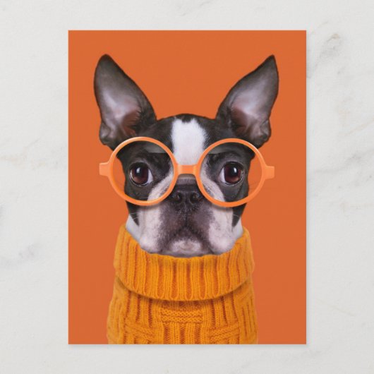 Kutest Baby Animals | Oranje Boston Terrier Briefkaart (Voorkant)