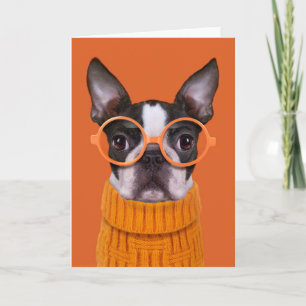 Kutest Baby Animals   Oranje Boston Terrier Kaart