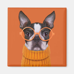 Kutest Baby Animals   Oranje Boston Terrier Magneet