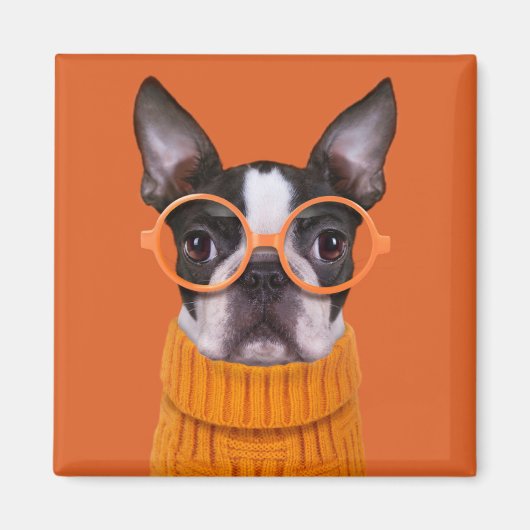 Kutest Baby Animals | Oranje Boston Terrier Magneet (Voorkant)