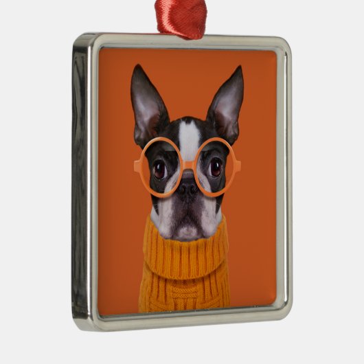 Kutest Baby Animals | Oranje Boston Terrier Metalen Ornament (Rechts)