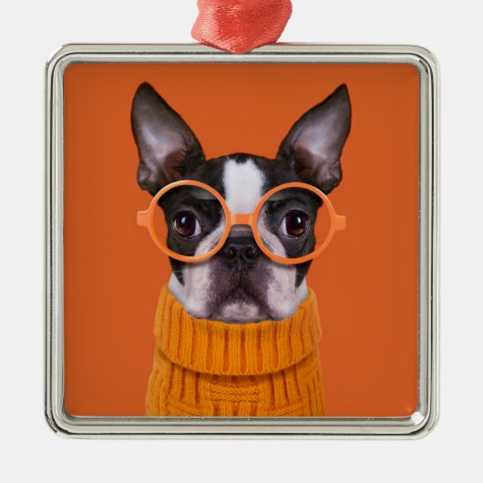 Kutest Baby Animals | Oranje Boston Terrier Metalen Ornament (Voorkant)