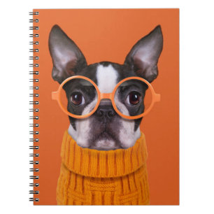 Kutest Baby Animals Oranje Boston Terrier Notitieboek
