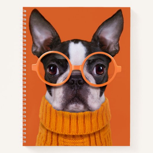 Kutest Baby Animals | Oranje Boston Terrier Notitieboek (Voorkant)