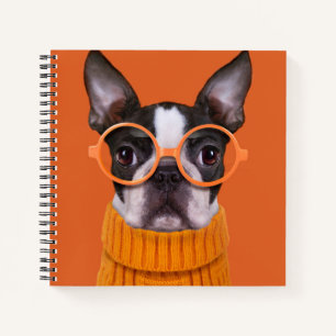 Kutest Baby Animals Oranje Boston Terrier Notitieboek