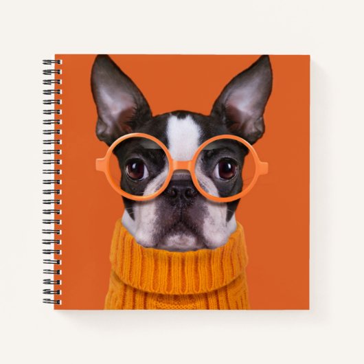 Kutest Baby Animals | Oranje Boston Terrier Notitieboek (Voorkant)