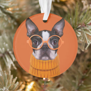 Kutest Baby Animals Oranje Boston Terrier Ornament