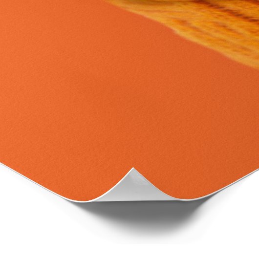 Kutest Baby Animals | Oranje Boston Terrier Poster (Hoek)