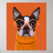 Kutest Baby Animals | Oranje Boston Terrier Poster (Voorkant)