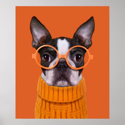 Kutest Baby Animals | Oranje Boston Terrier Poster (Voorkant)