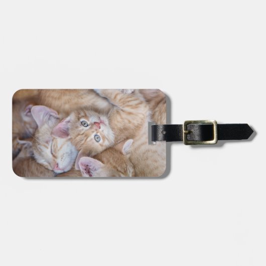 Kutest Baby Animals | Oranje keuten-pool Bagagelabel (Voorkant horizontaal)