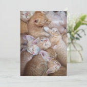 Kutest Baby Animals | Oranje keuten-pool Bedankkaart (Staand voorkant)