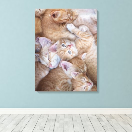 Kutest Baby Animals | Oranje keuten-pool Canvas Afdruk (Insitu (Houten vloer))