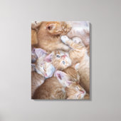 Kutest Baby Animals | Oranje keuten-pool Canvas Afdruk (Voorkant)