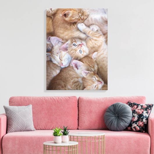 Kutest Baby Animals | Oranje keuten-pool Canvas Afdruk (Insitu (Woonkamer))
