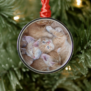 Kutest Baby Animals   Oranje keuten-pool Metalen Ornament