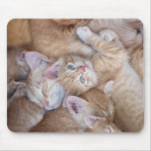 Kutest Baby Animals | Oranje keuten-pool Muismat (Voorkant)