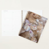 Kutest Baby Animals | Oranje keuten-pool Planner (Display)