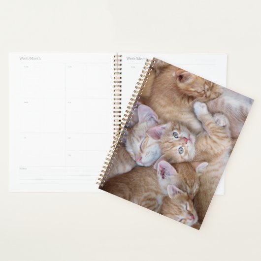 Kutest Baby Animals | Oranje keuten-pool Planner (Display)