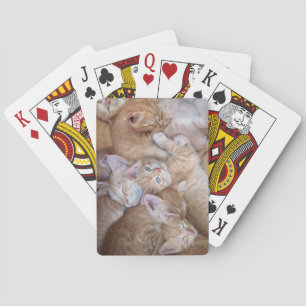 Kutest Baby Animals Oranje keuten-pool Pokerkaarten