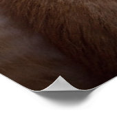 Kutest Baby Animals | Oranje keuten-pool Poster (Hoek)