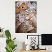 Kutest Baby Animals | Oranje keuten-pool Poster (Thuiskantoor)