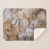 Kutest Baby Animals | Oranje keuten-pool Sherpa Deken (Voorkant (horizontaal))