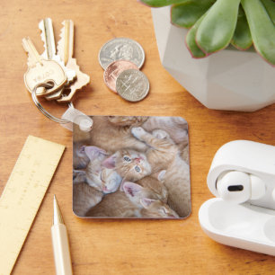 Kutest Baby Animals   Oranje keuten-pool Sleutelhanger