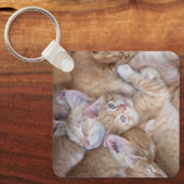 Kutest Baby Animals | Oranje keuten-pool Sleutelhanger (Voorkant)