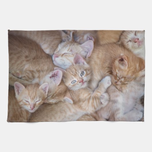 Kutest Baby Animals | Oranje keuten-pool Theedoek (Horizontaal)