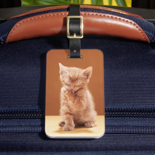 Kutest Baby Animals | Oranje Tabby Kitten Bagagelabel (Voorkant Insitu 2)