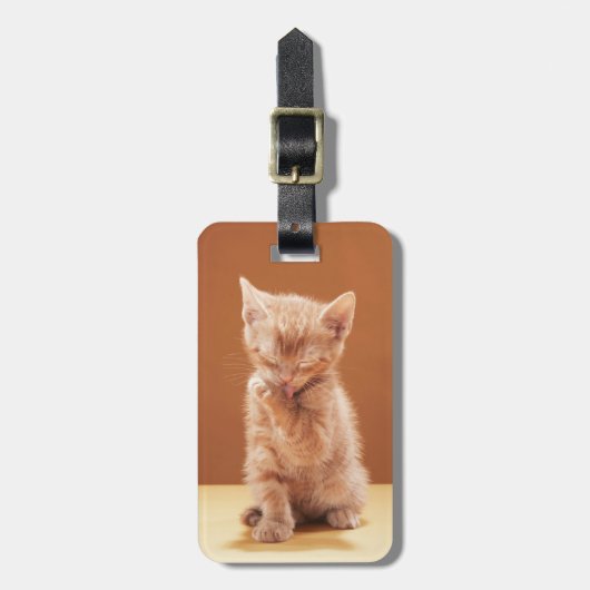 Kutest Baby Animals | Oranje Tabby Kitten Bagagelabel (Voorkant verticaal)