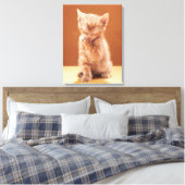 Kutest Baby Animals | Oranje Tabby Kitten Canvas Afdruk (Insitu (Slaapkamer))