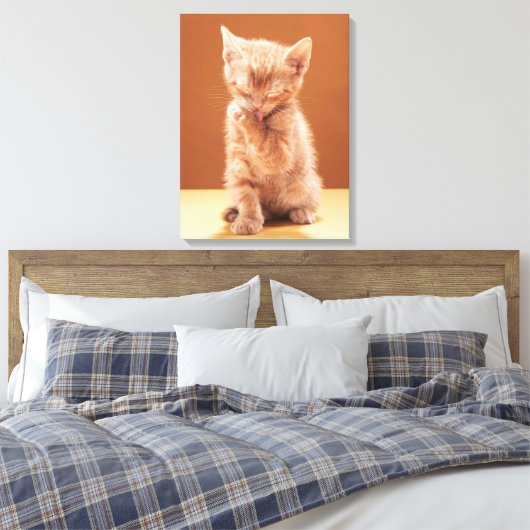 Kutest Baby Animals | Oranje Tabby Kitten Canvas Afdruk (Insitu (Slaapkamer))
