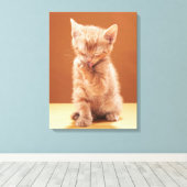 Kutest Baby Animals | Oranje Tabby Kitten Canvas Afdruk (Insitu (Houten vloer))