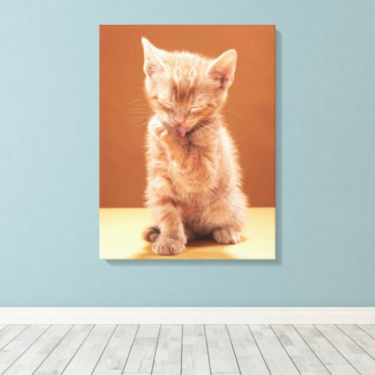 Kutest Baby Animals | Oranje Tabby Kitten Canvas Afdruk (Insitu (Houten vloer))