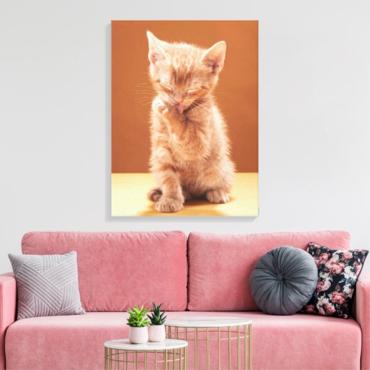 Kutest Baby Animals | Oranje Tabby Kitten Canvas Afdruk (Insitu (Woonkamer))