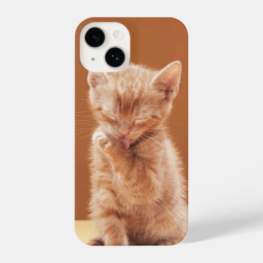 Kutest Baby Animals | Oranje Tabby Kitten iPhone Hoesje (Achterkant)