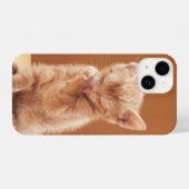 Kutest Baby Animals | Oranje Tabby Kitten iPhone Hoesje (Achterkant horizontaal)
