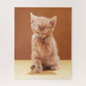 Kutest Baby Animals | Oranje Tabby Kitten Legpuzzel (Verticaal)