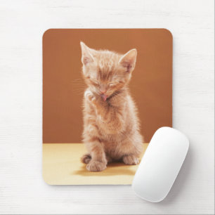 Kutest Baby Animals Oranje Tabby Kitten Muismat