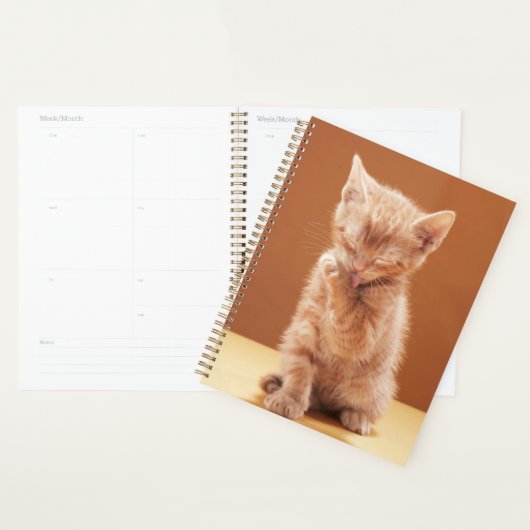 Kutest Baby Animals | Oranje Tabby Kitten Planner (Display)