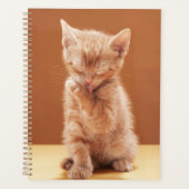 Kutest Baby Animals | Oranje Tabby Kitten Planner (Voorkant)