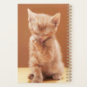 Kutest Baby Animals | Oranje Tabby Kitten Planner (Achterkant)