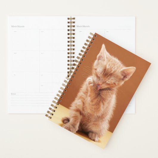 Kutest Baby Animals | Oranje Tabby Kitten Planner (Display)