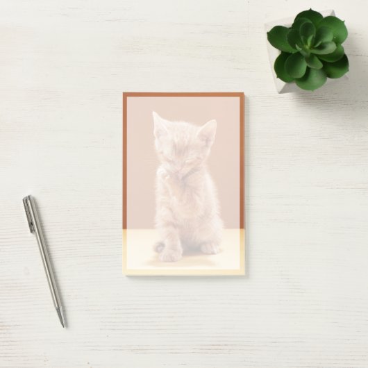 Kutest Baby Animals | Oranje Tabby Kitten Post-it® Notes (Kantoor)