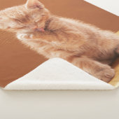 Kutest Baby Animals | Oranje Tabby Kitten Sherpa Deken (3/4)